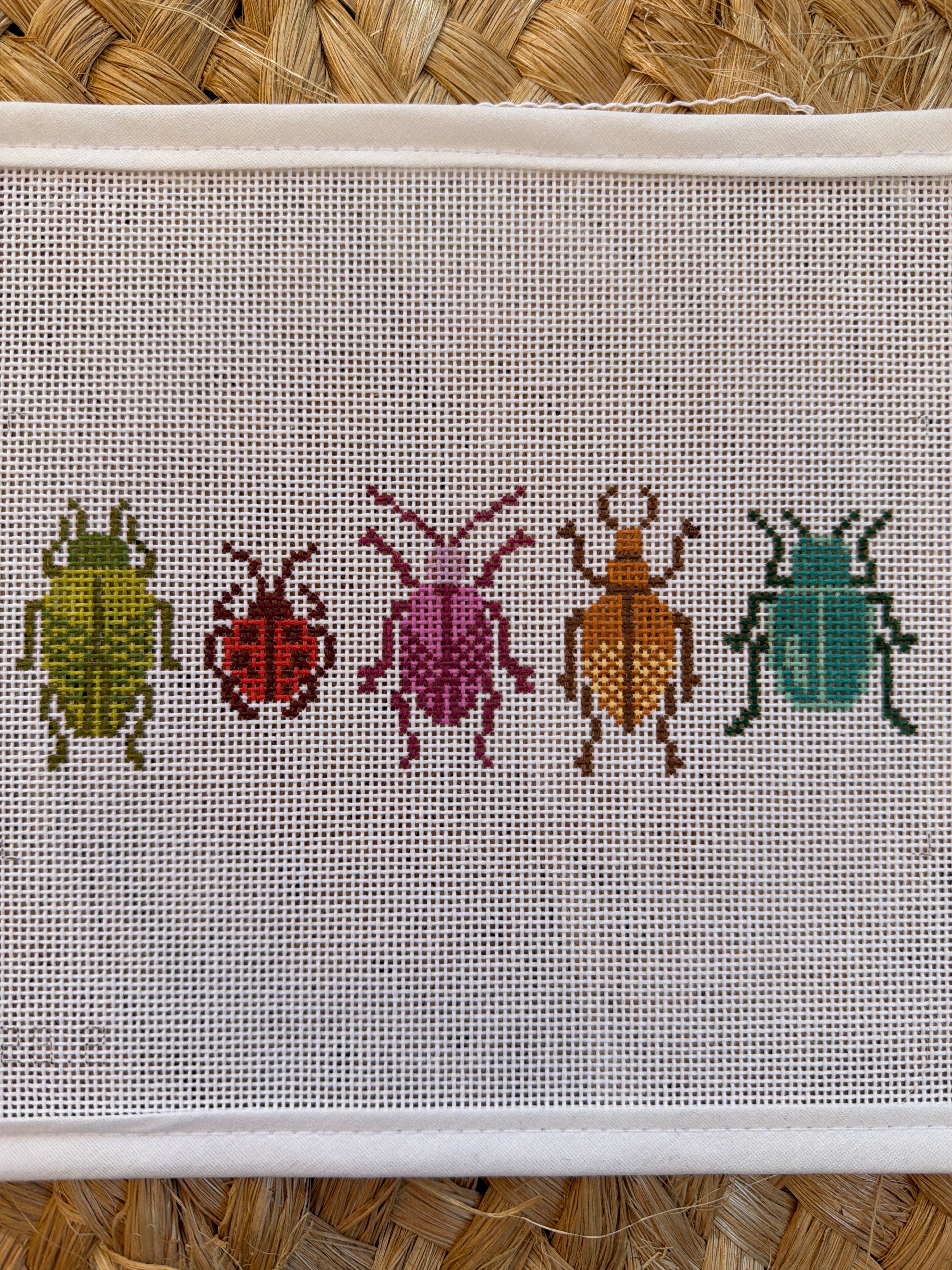 Bugs Insert | Needlepoint Canvas
