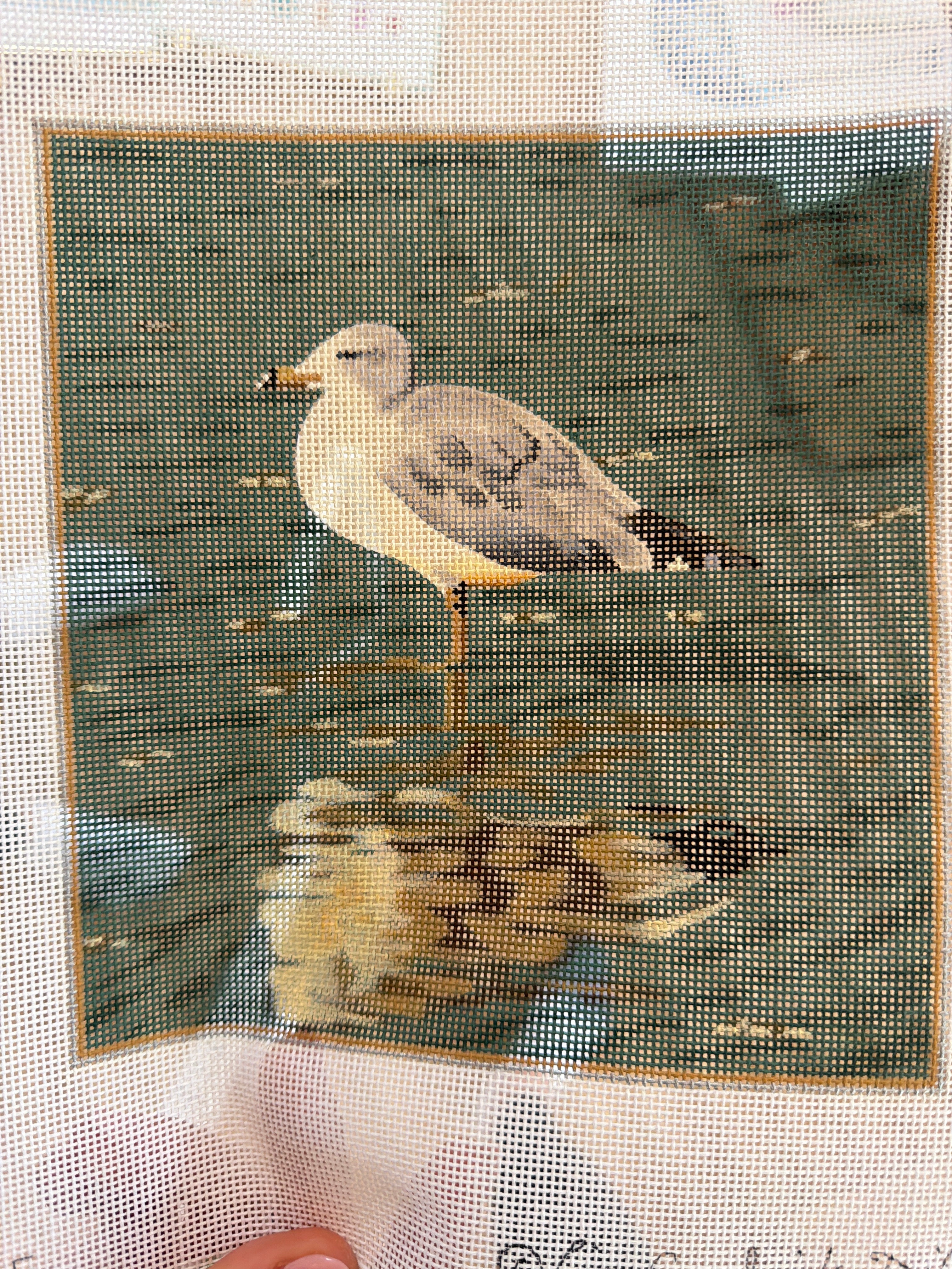 Selgul | Needlepoint Canvas