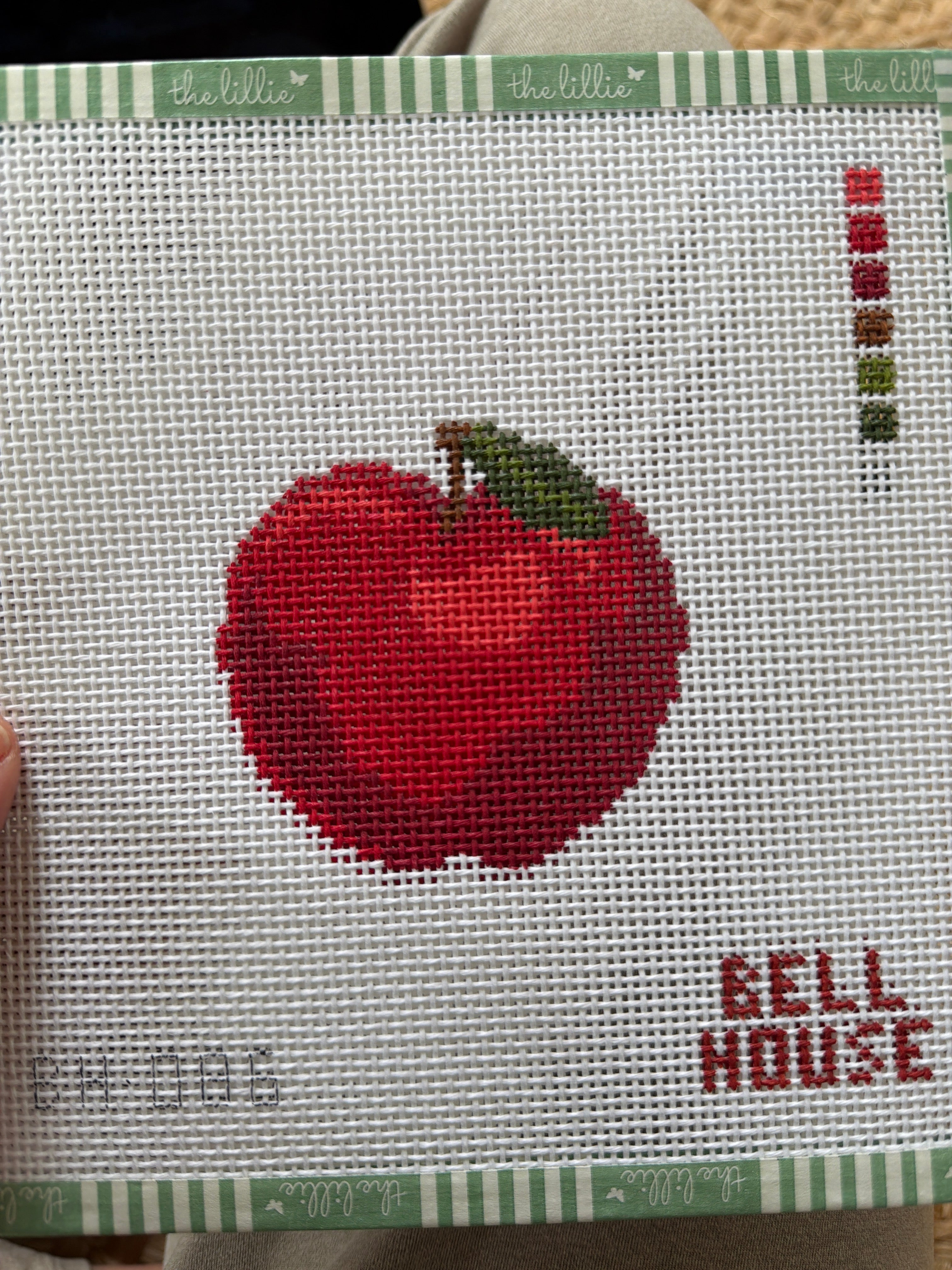 Apple | Needlepoint Canvas