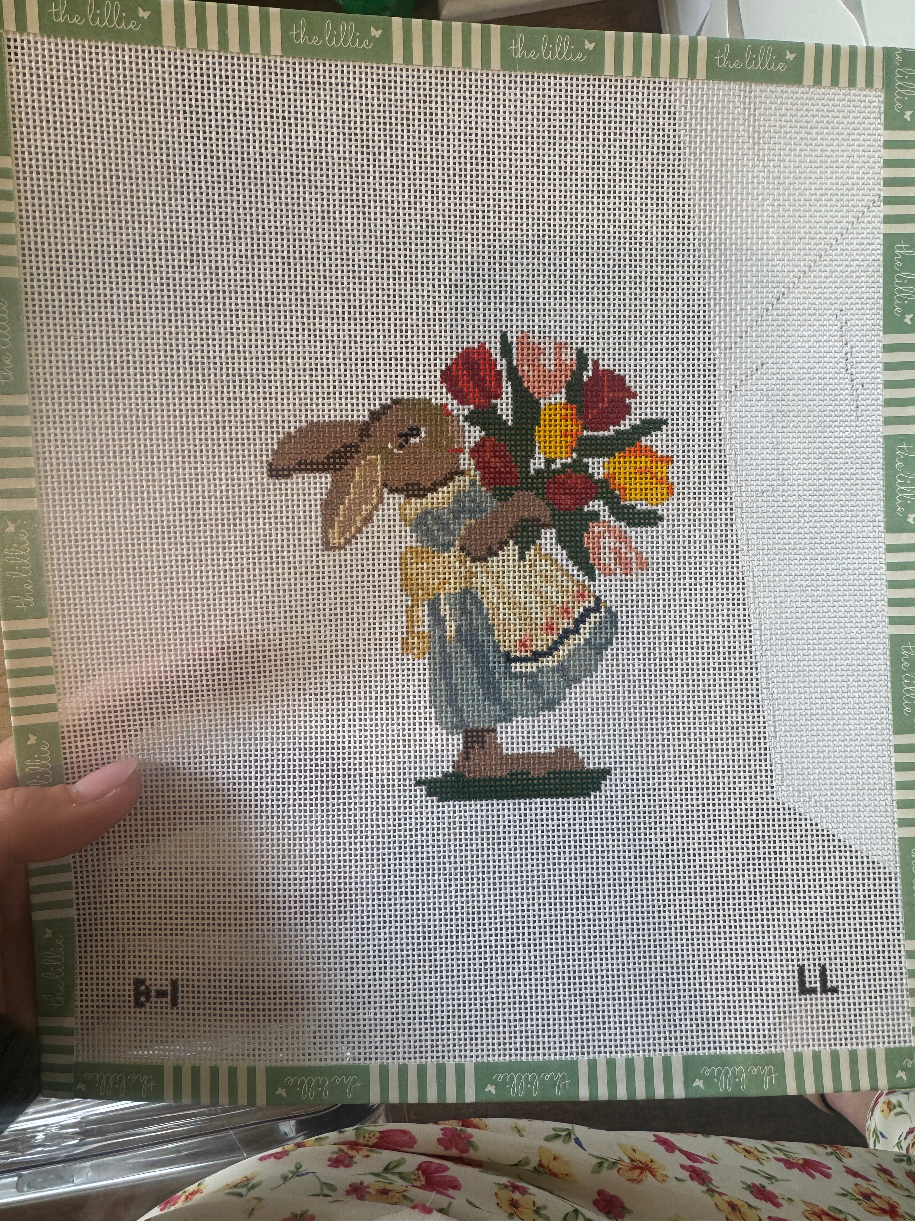 Bunny 1