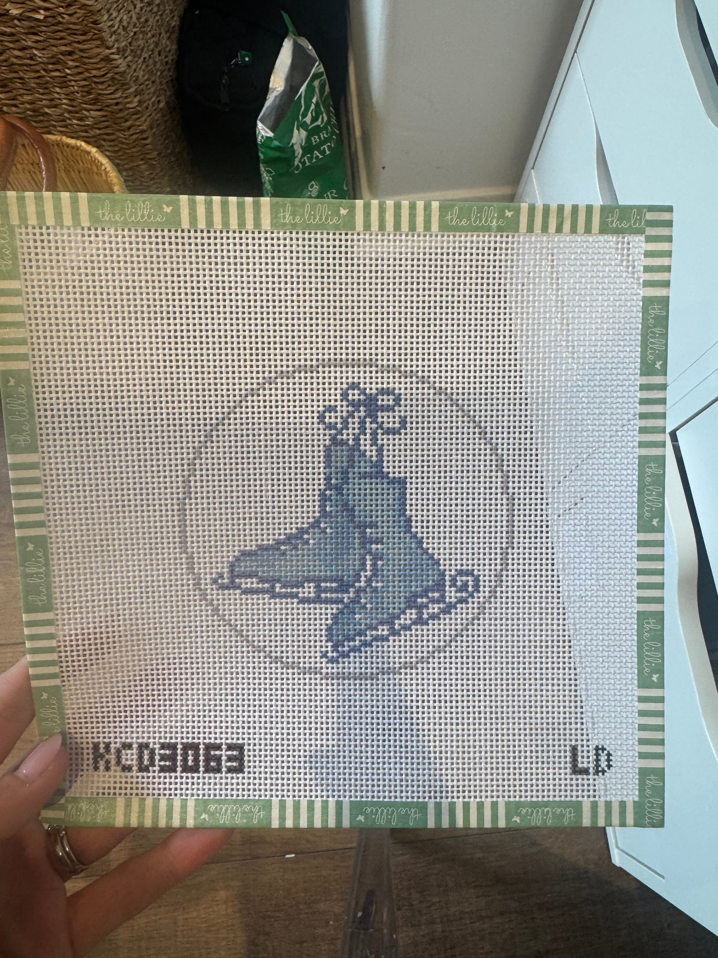 Ice Skate Ornament Printed Canvas