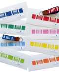 Needlepoint 101: Your First Stitch