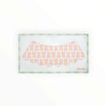 Blocked Begonia Lampshade needlepoint canvas by Penny & Penny